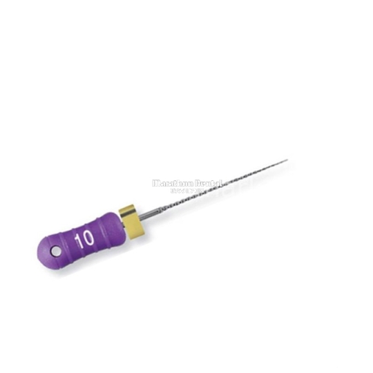 Trâm tay nội nha Dentsply C File Readysteel